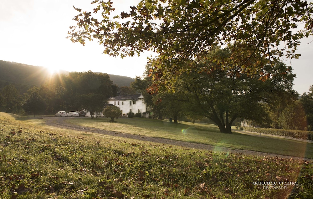 Orchard House B&B