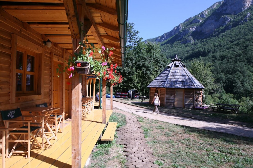 Photo 41