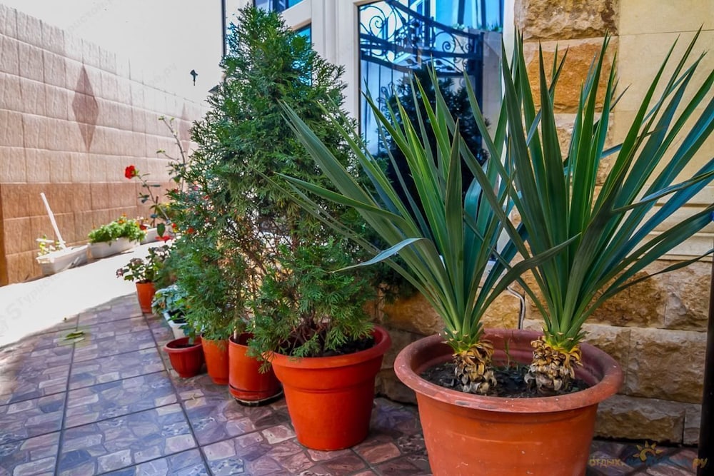 Guest House Elmira
