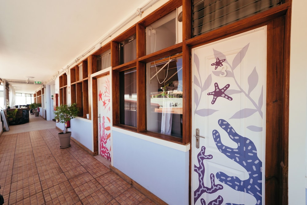 Ocean Nomads Hostel