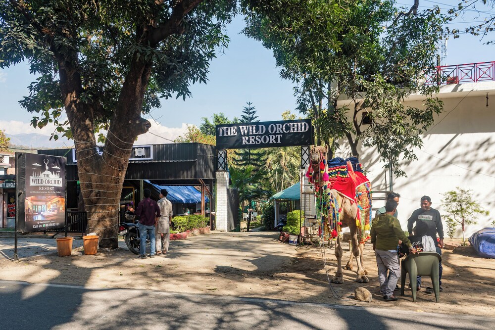 The Wild Orchid Resort