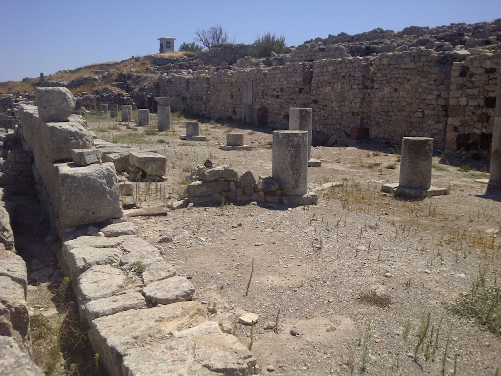Photo 27
