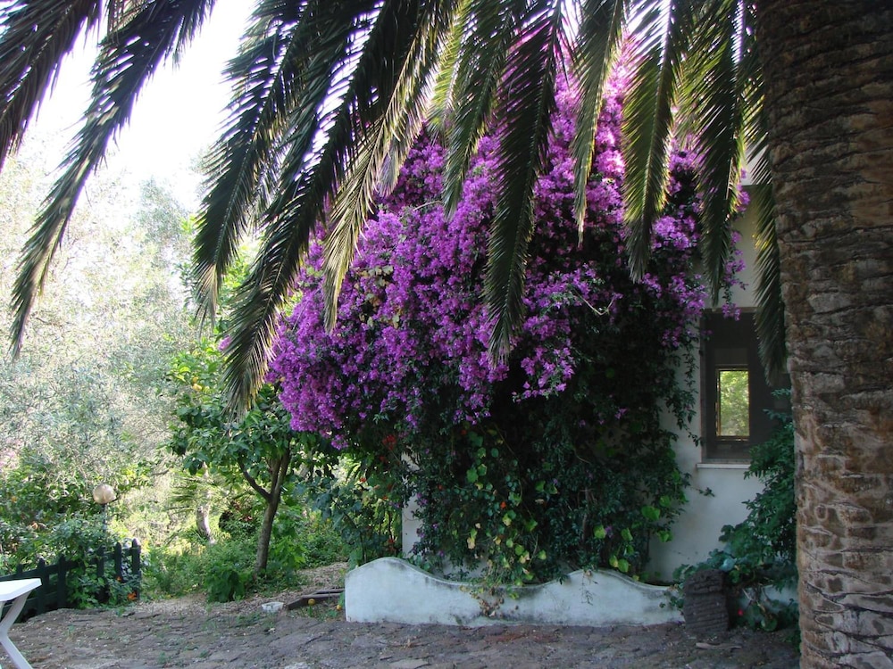 Agriturismo Su Tiresi