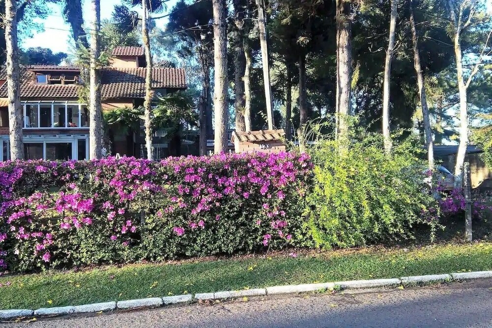 Casa 11 pessoas - ampla belo jardim view 4