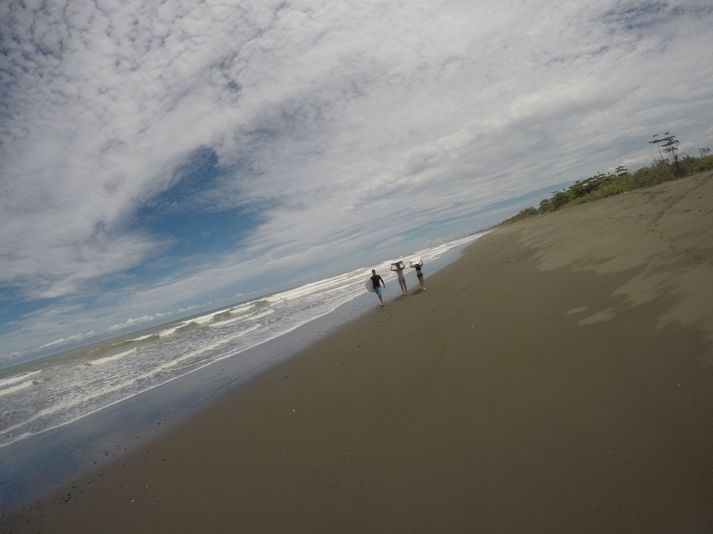 Miguel Surf  Camp