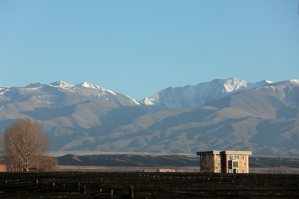 Gaia Lodge