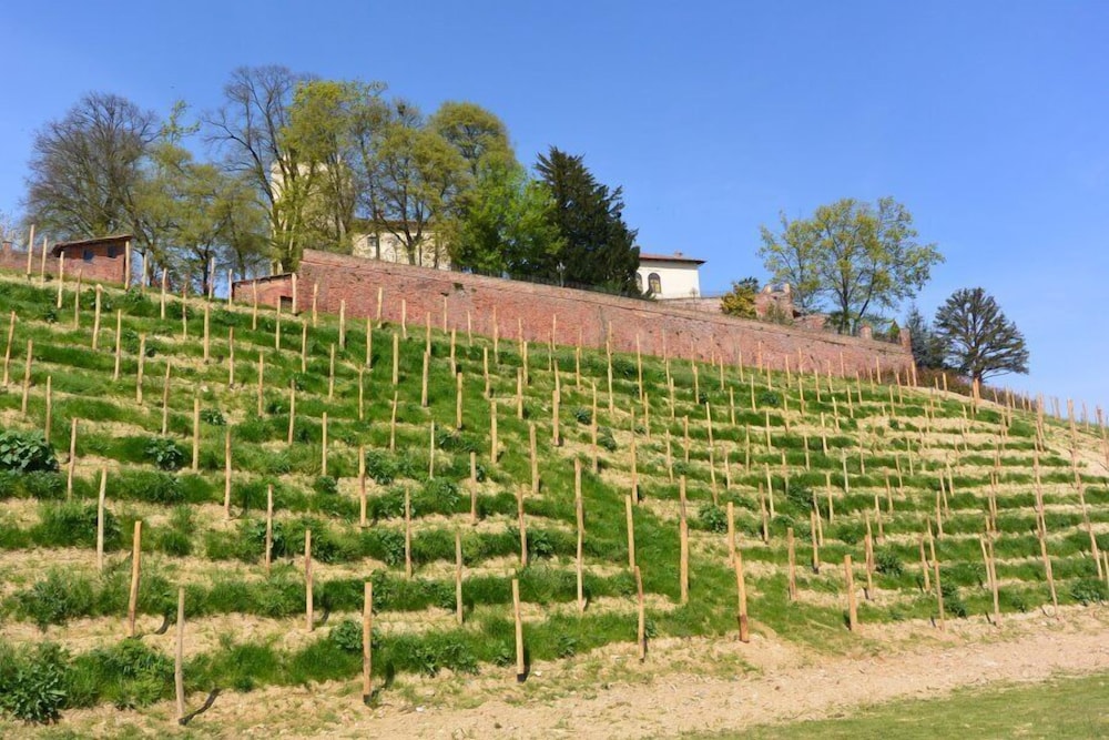 Castello di Cortanze