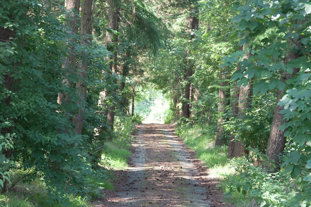 Photo 40