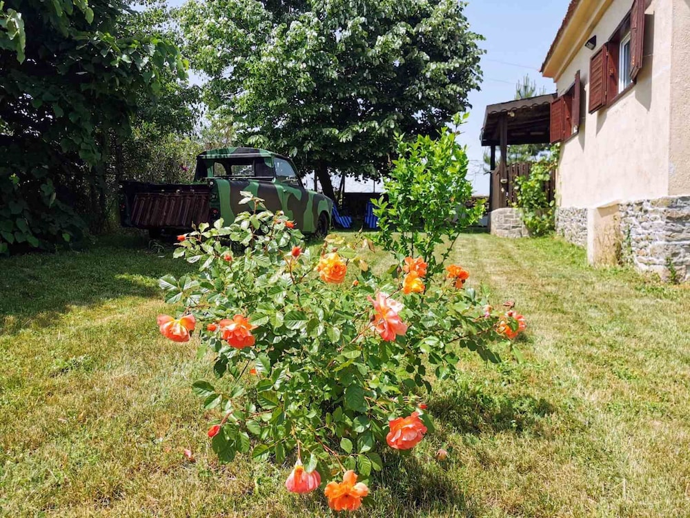 Photo 12