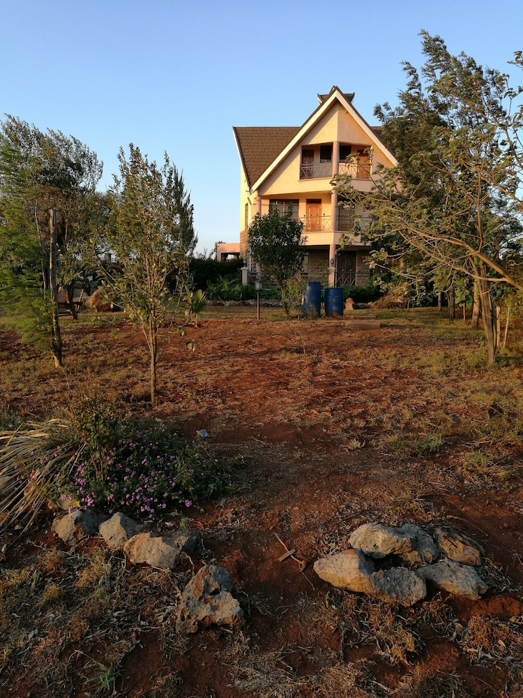 Photo 21