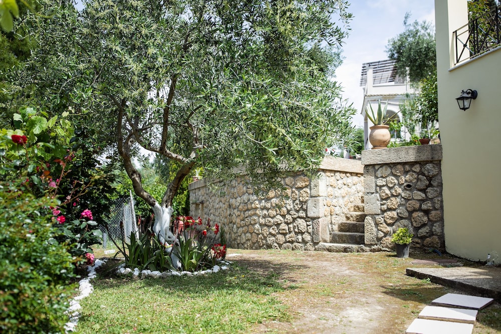 Photo 25