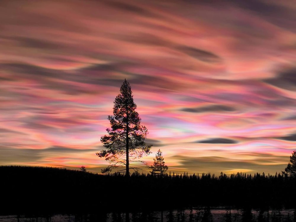Lapland Pure Nature and More!
