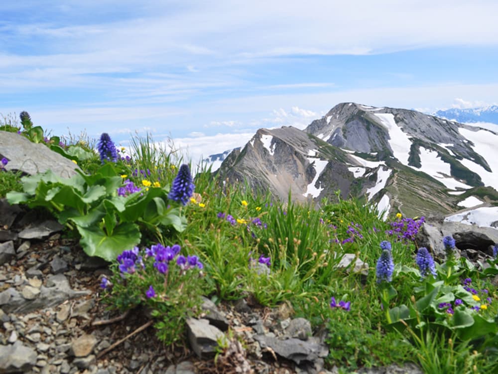 OberGurgl