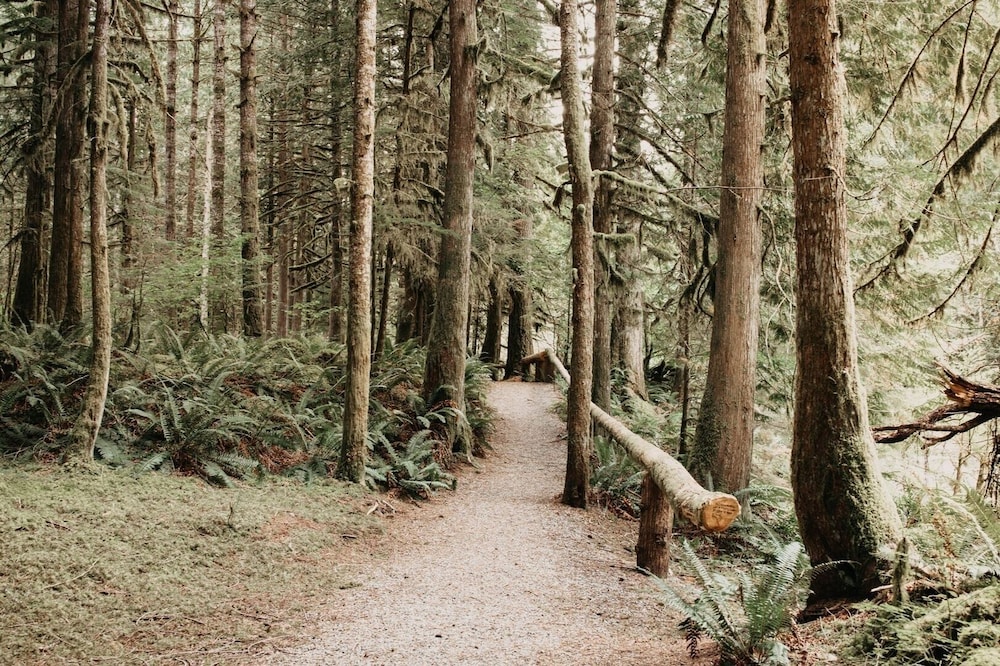 Glacier Mt Baker Lodging
