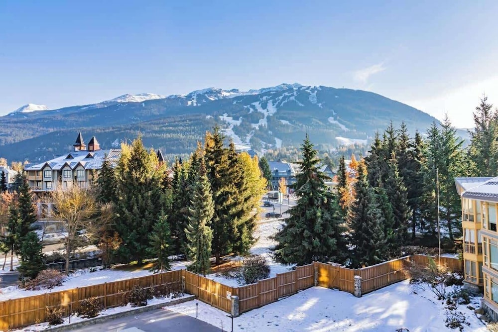 Spacious One Bedroom Suite - 412