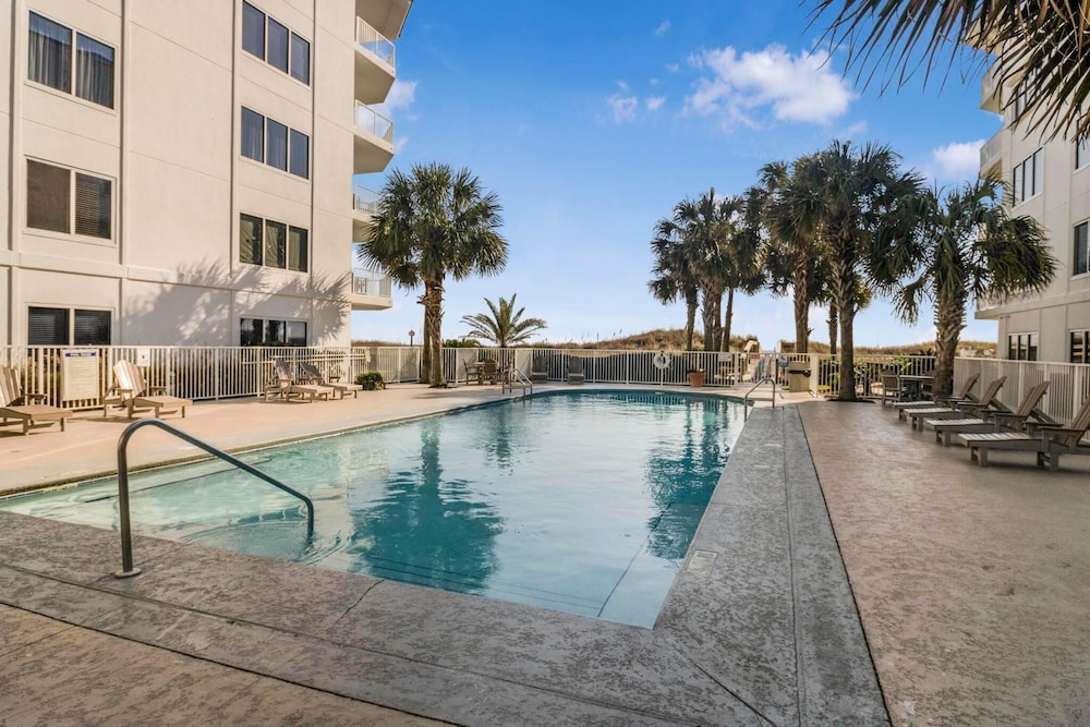 Palm Beach C21