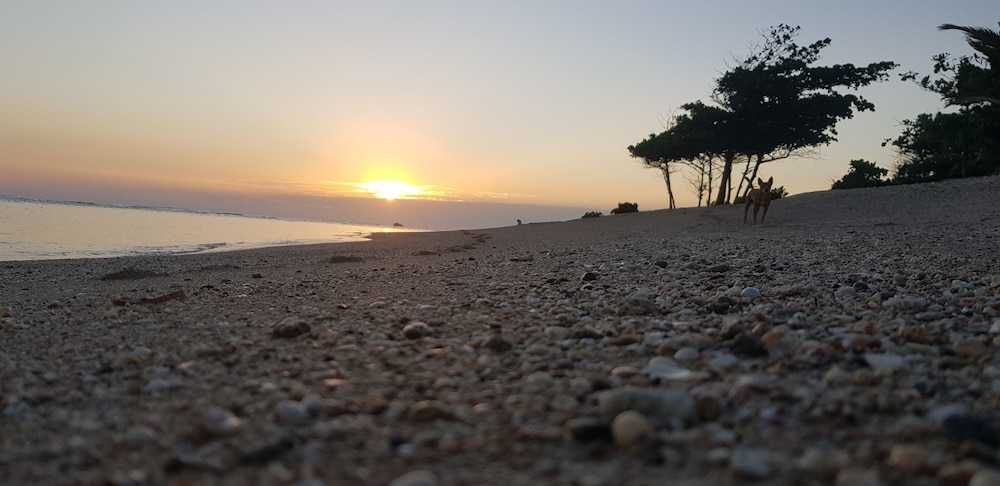 Hotel Puerto Plata Beach Hostel - Image 1