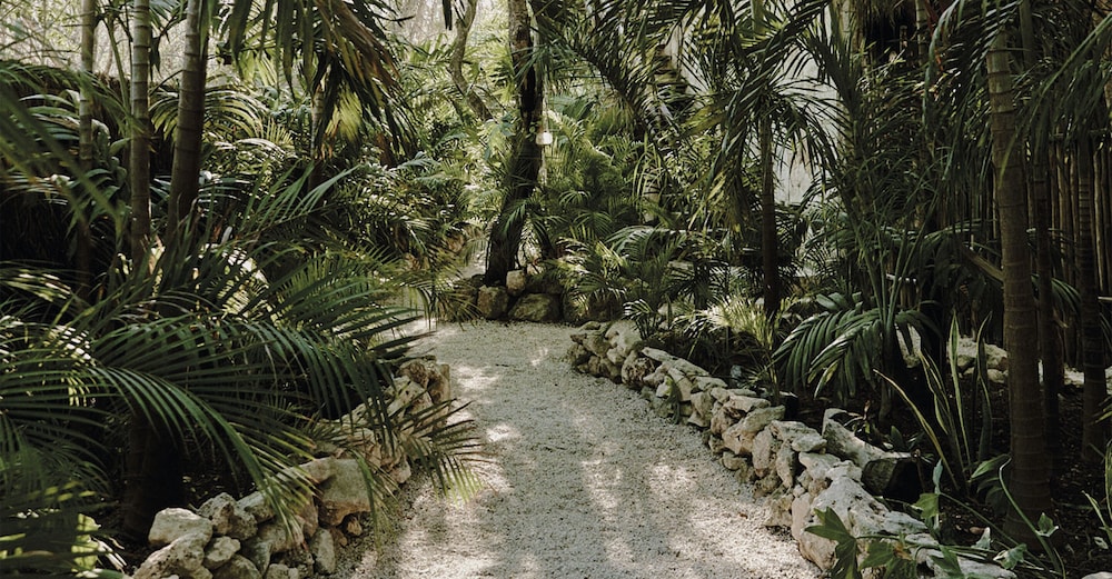 Una Vida - Property Image 136