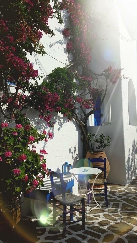 Pelagos Studios