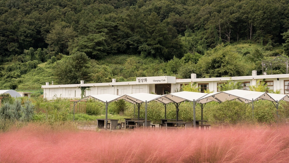 Boeun Ilsanghwa Glamping