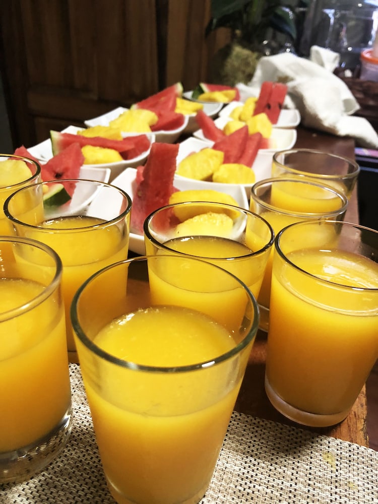 Casa Jungle Monteverde Bed & Breakfast