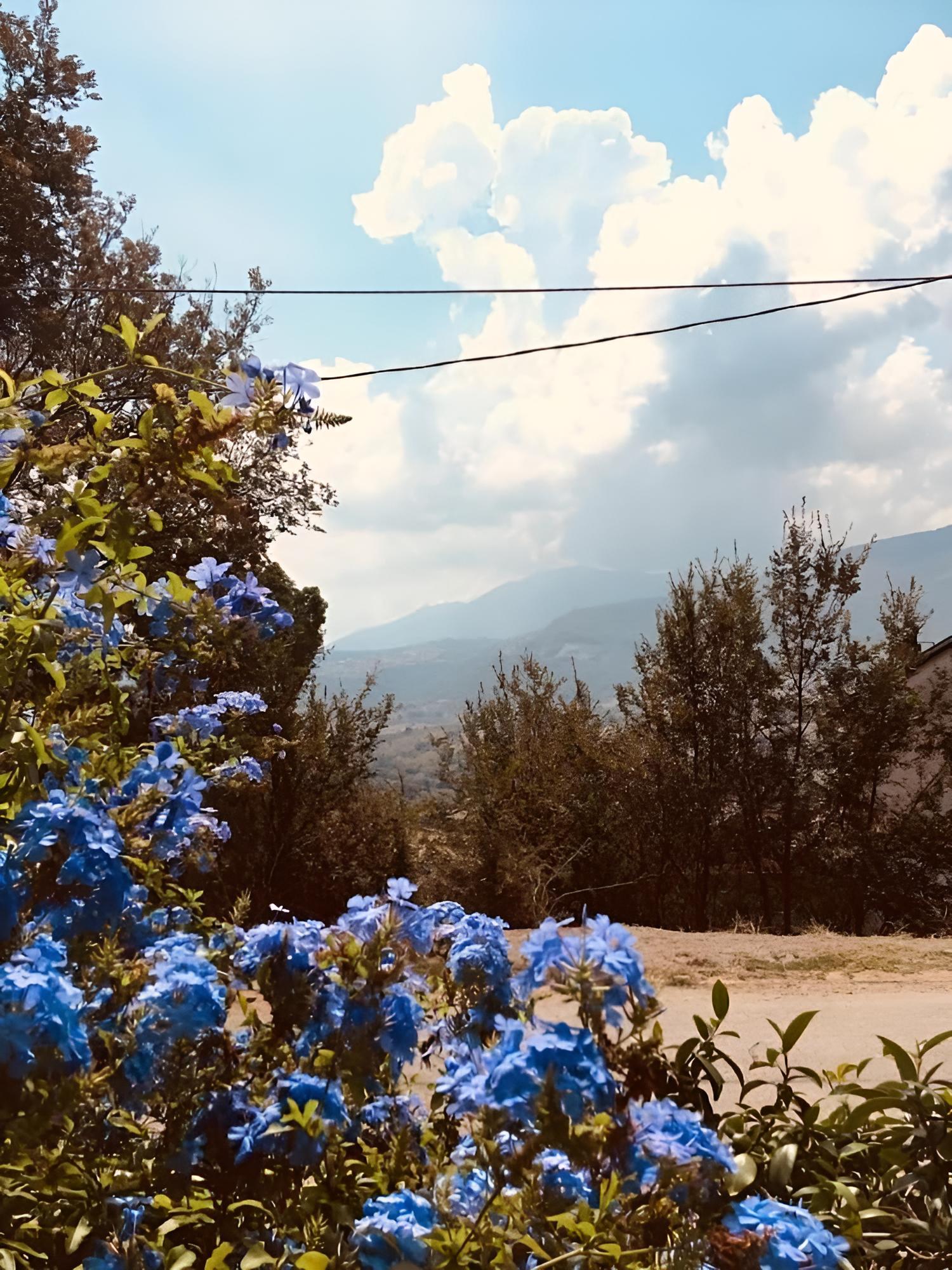 Agriturismo Carretiello