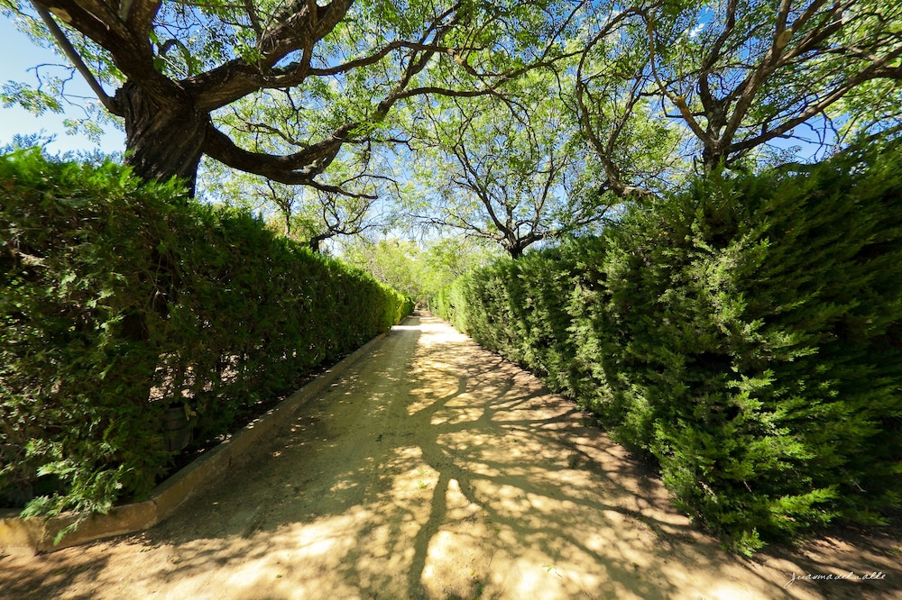 Lantana Garden