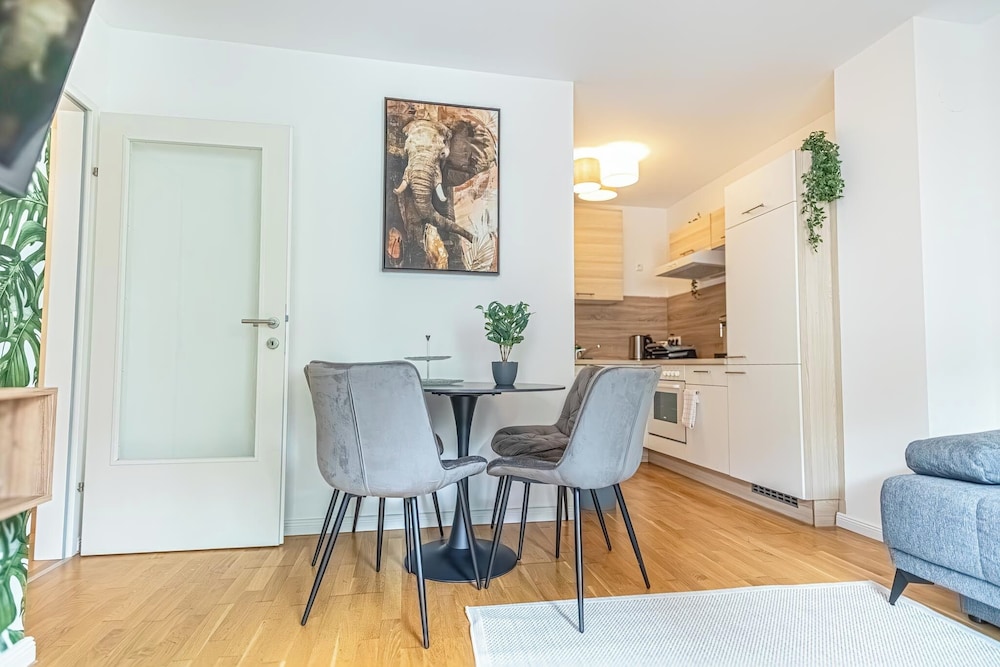 Comfortable 1BR 1LR City Center Apt