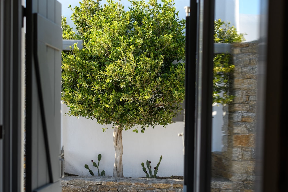 Olive Mykonos Villas