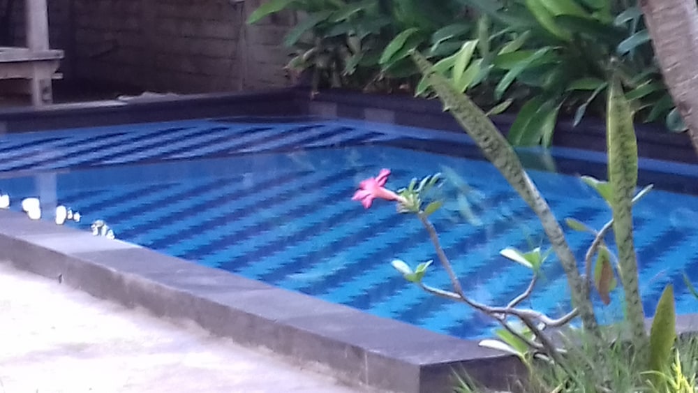 Diyu Bungalow