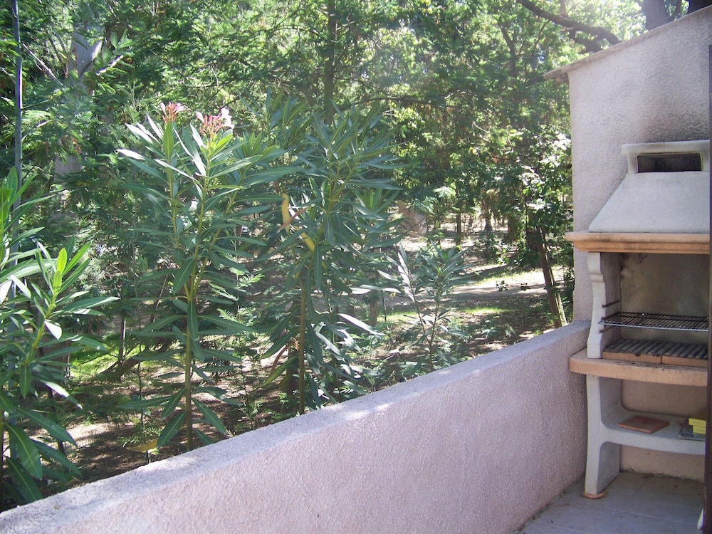 Photo 48