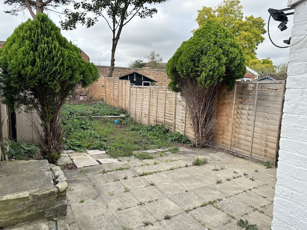 Photo 22
