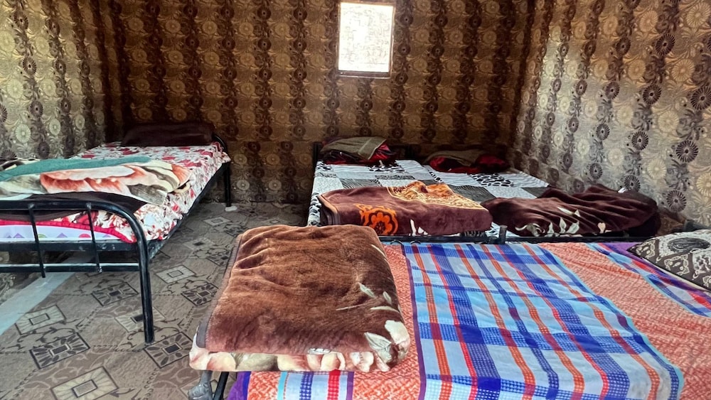 Wadi Rum Hikes & Camp