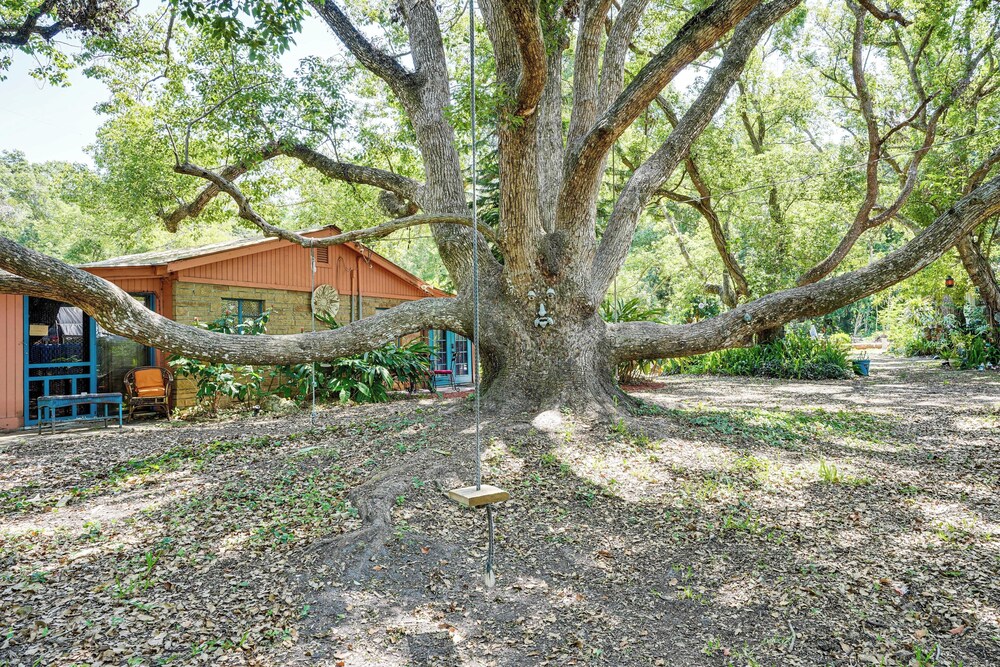 Near Tampa Attractions: Boho Bungalow on 20 Acres!