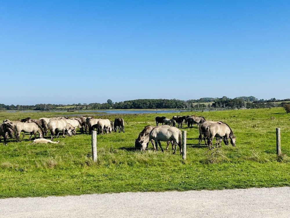 Huus Schippe