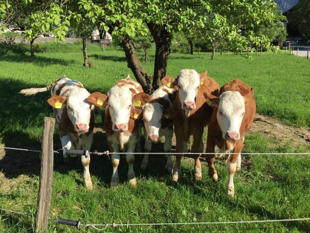 Nagelsmederij in het Huis Waldwinkel