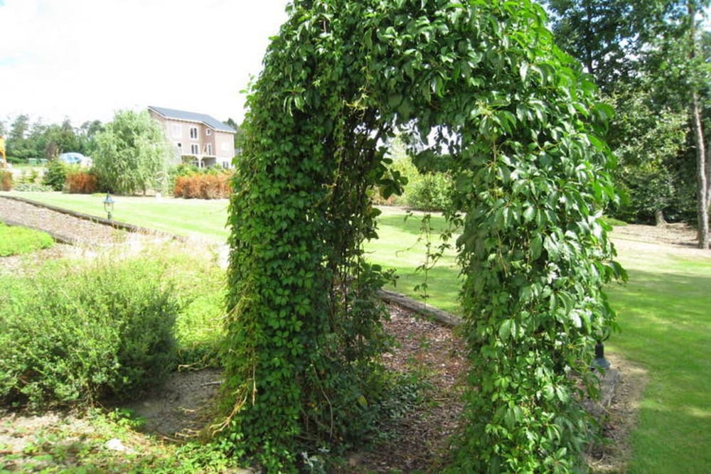 Photo 37