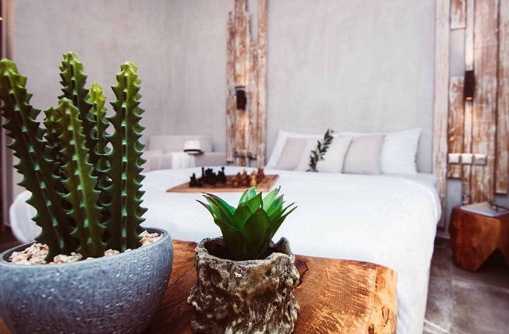 Olea House Thassos photo 4