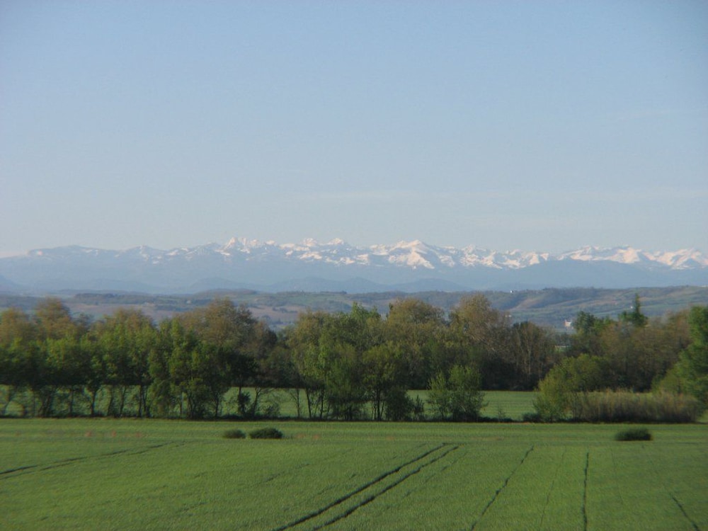 Domaine Saint-Joly