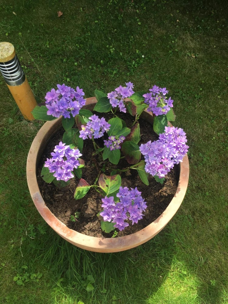 Photo 21