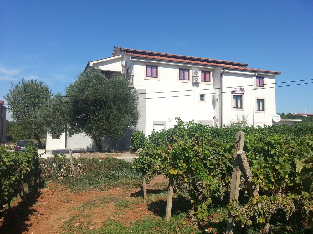 Pansion Robi, photo 24