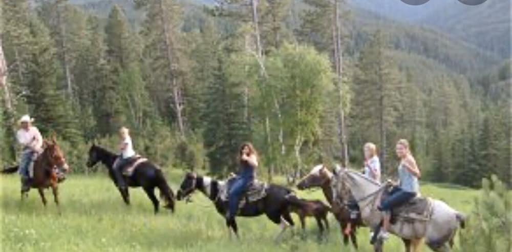 Whitetail Creek Resort