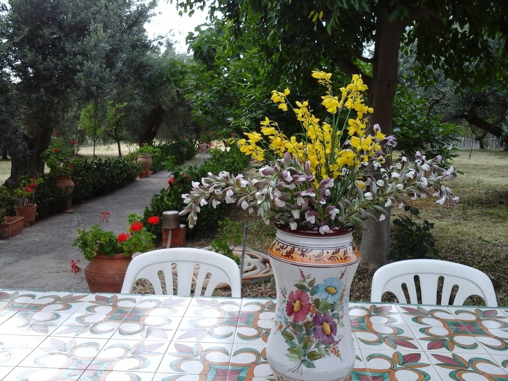 Photo 27