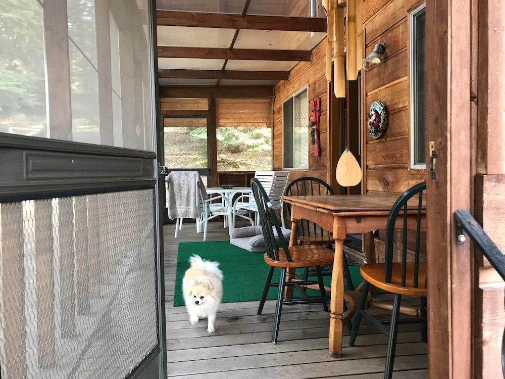 Ashland Vacations - Whispering Pines Cabin Retreat - Property Image 4