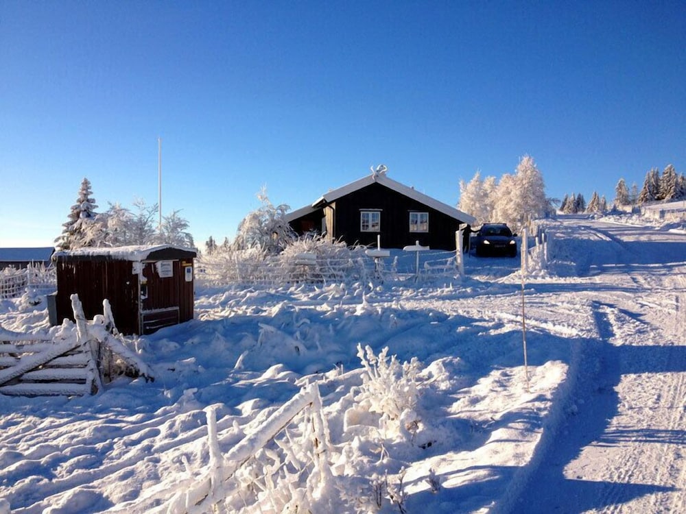 Lilleset Cabin - Gol