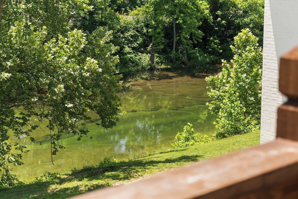 Creekside Duo Near the Landing
