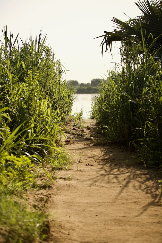 Photo 42