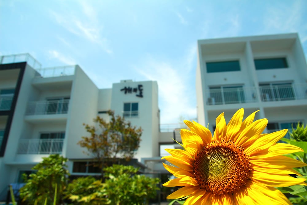 Hotel Jeju Baraki - Image 1