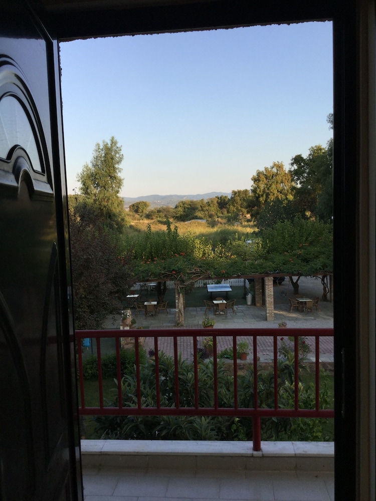 Photo 19