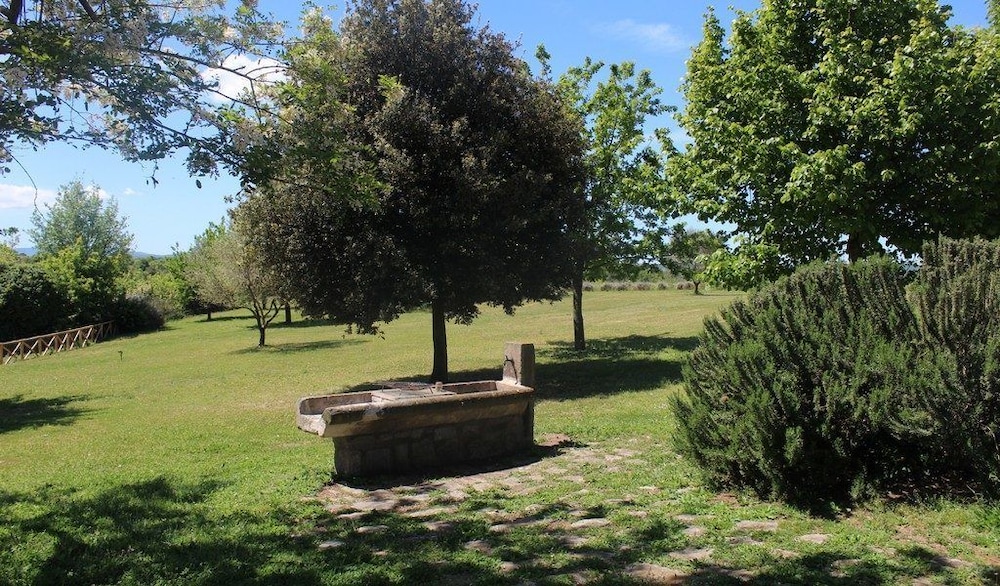 Photo 26